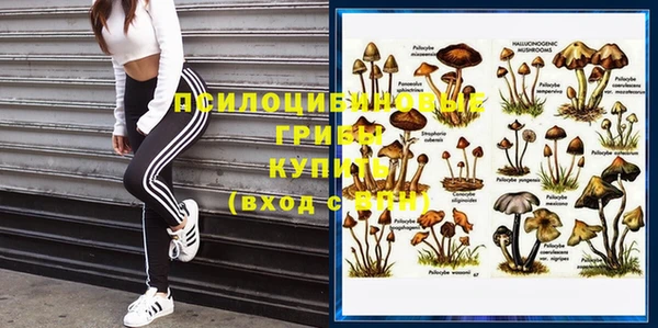 mdpv Карпинск