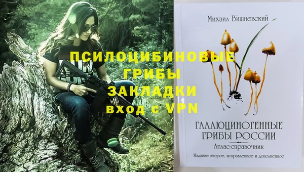 гашик Кинешма